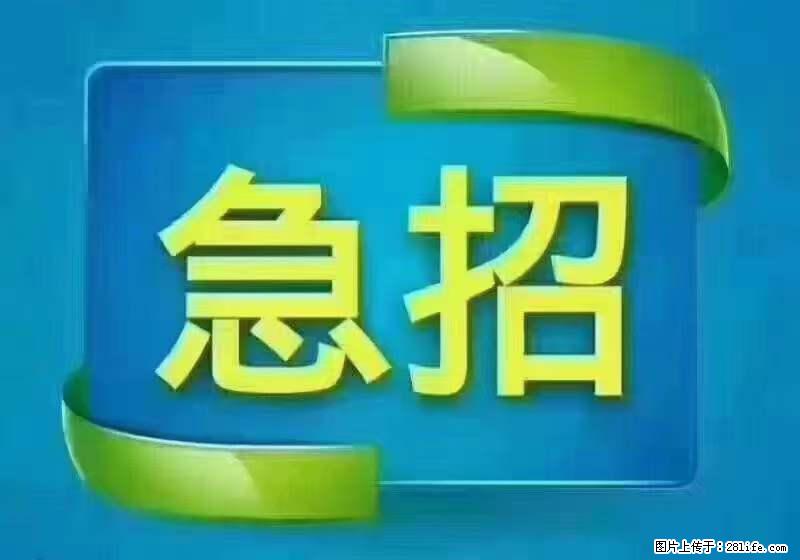 招出纳8000元/月，无证可以，要有相关经验，上海五险一金，包住，包工作餐，做六休一。 - 职场交流 - 石河子生活社区 - 石河子28生活网 shz.28life.net