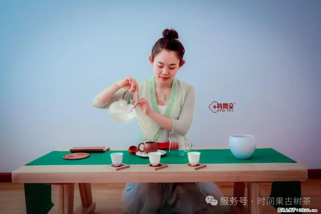 时间果百年古树龙珠普洱生茶 - 购物交流 - 石河子生活社区 - 石河子28生活网 shz.28life.net