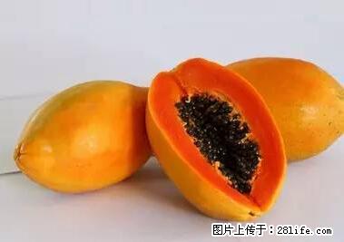 晕车、脚气、牙齿变黄、皮肤粗糙？学会这些三分钟搞定！ - 石河子生活资讯 - 石河子28生活网 shz.28life.net