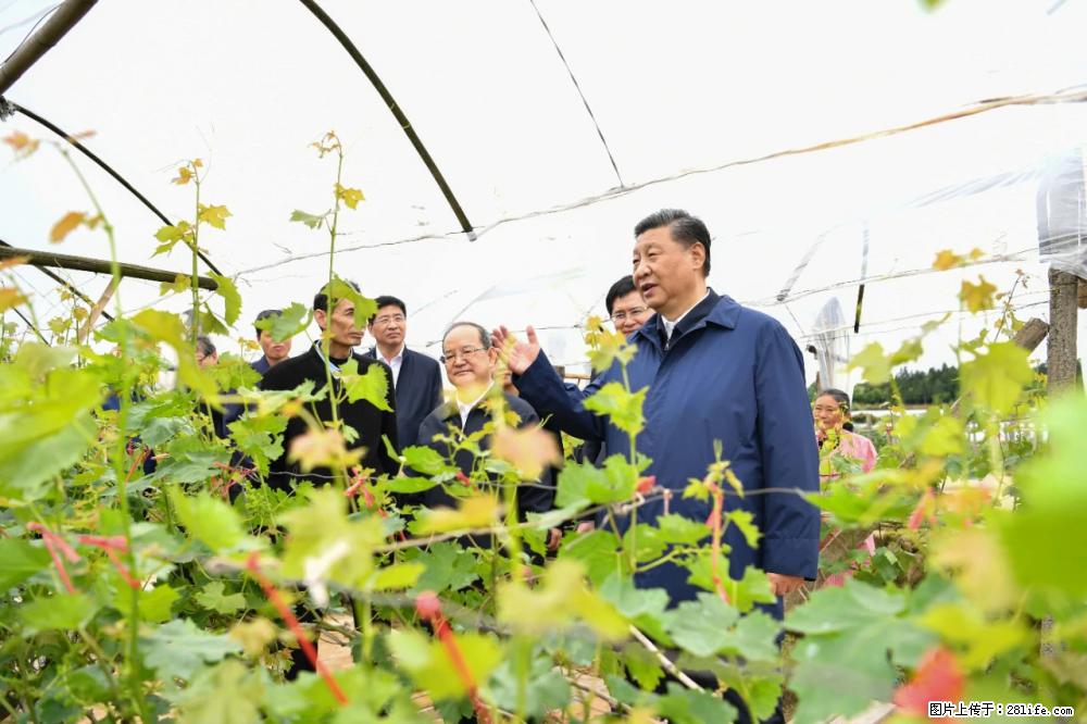 习近平赴广西考察调研 - 石河子生活资讯 - 石河子28生活网 shz.28life.net
