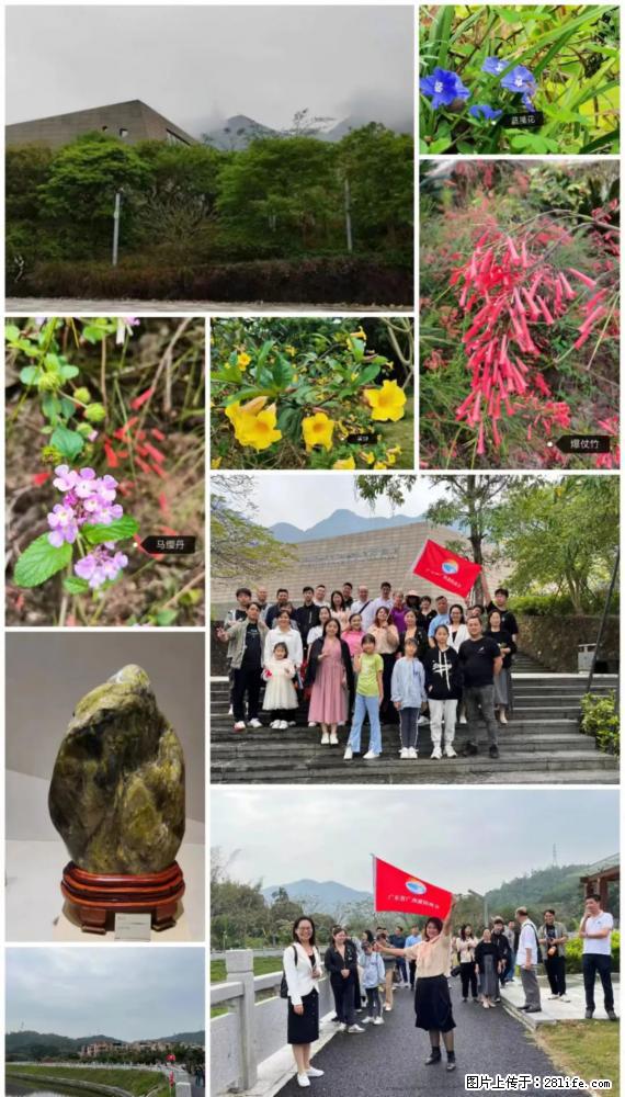 “粤灌文化 美好生活”油茶文化主题活动在广东深圳成功举办 - 石河子生活资讯 - 石河子28生活网 shz.28life.net