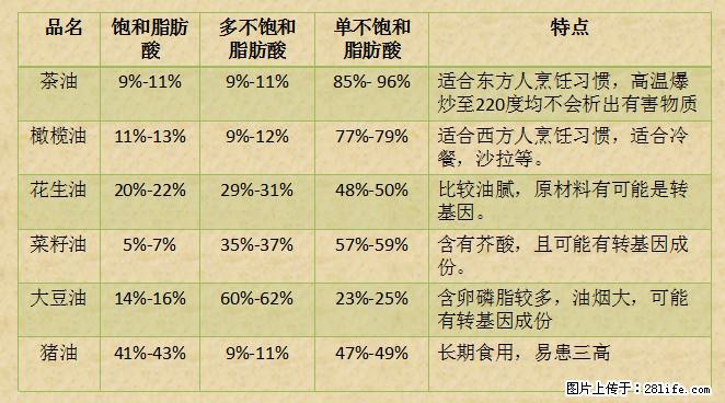 揭秘茶油的5大核心营养成分！被称为人体健康的“守护盾”！ - 石河子生活资讯 - 石河子28生活网 shz.28life.net