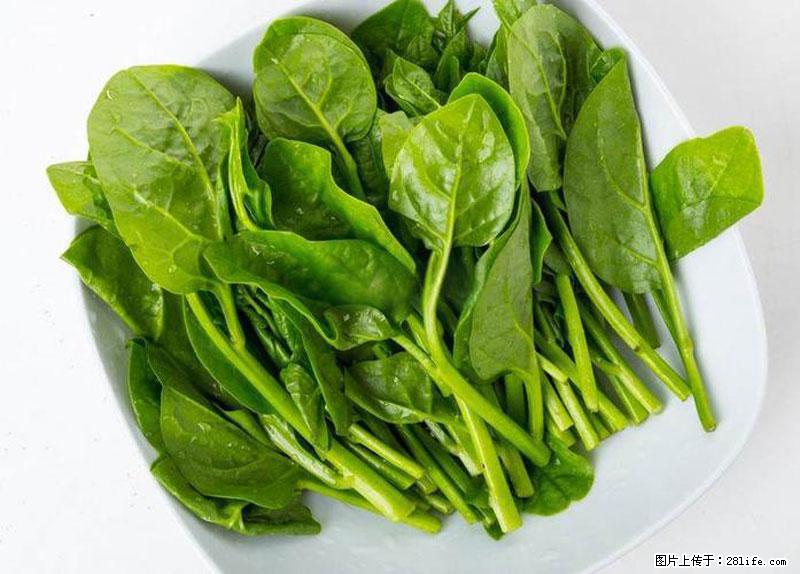 这些蔬菜是“天然钙片”，这6种被医生重点推荐 - 石河子生活资讯 - 石河子28生活网 shz.28life.net