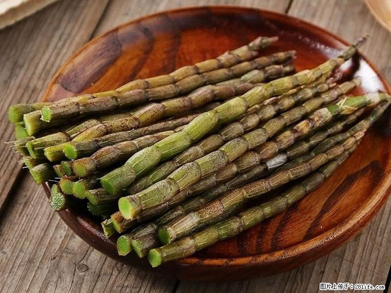 铁皮石斛的作用与功能主治 - 石河子生活资讯 - 石河子28生活网 shz.28life.net