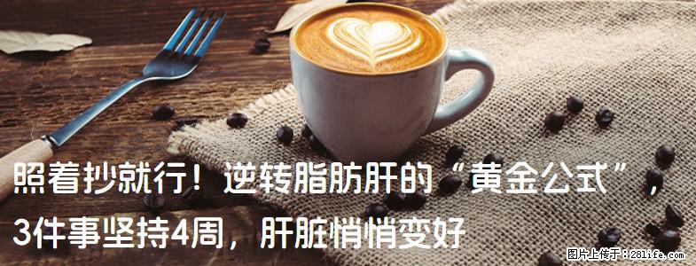 照着抄就行！逆转脂肪肝的“黄金公式”，3件事坚持4周，肝脏悄悄变好 - 石河子生活资讯 - 石河子28生活网 shz.28life.net
